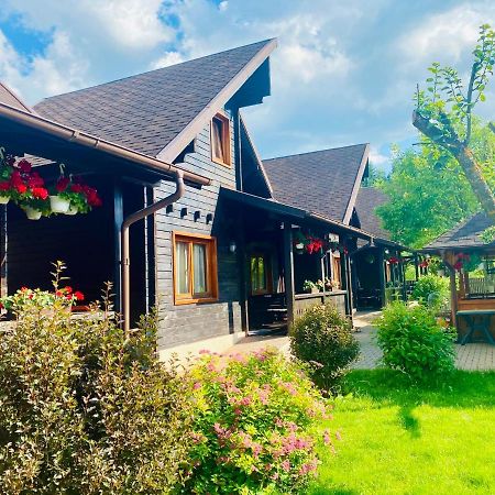 Pensiunea Galileo Borşa Exterior foto