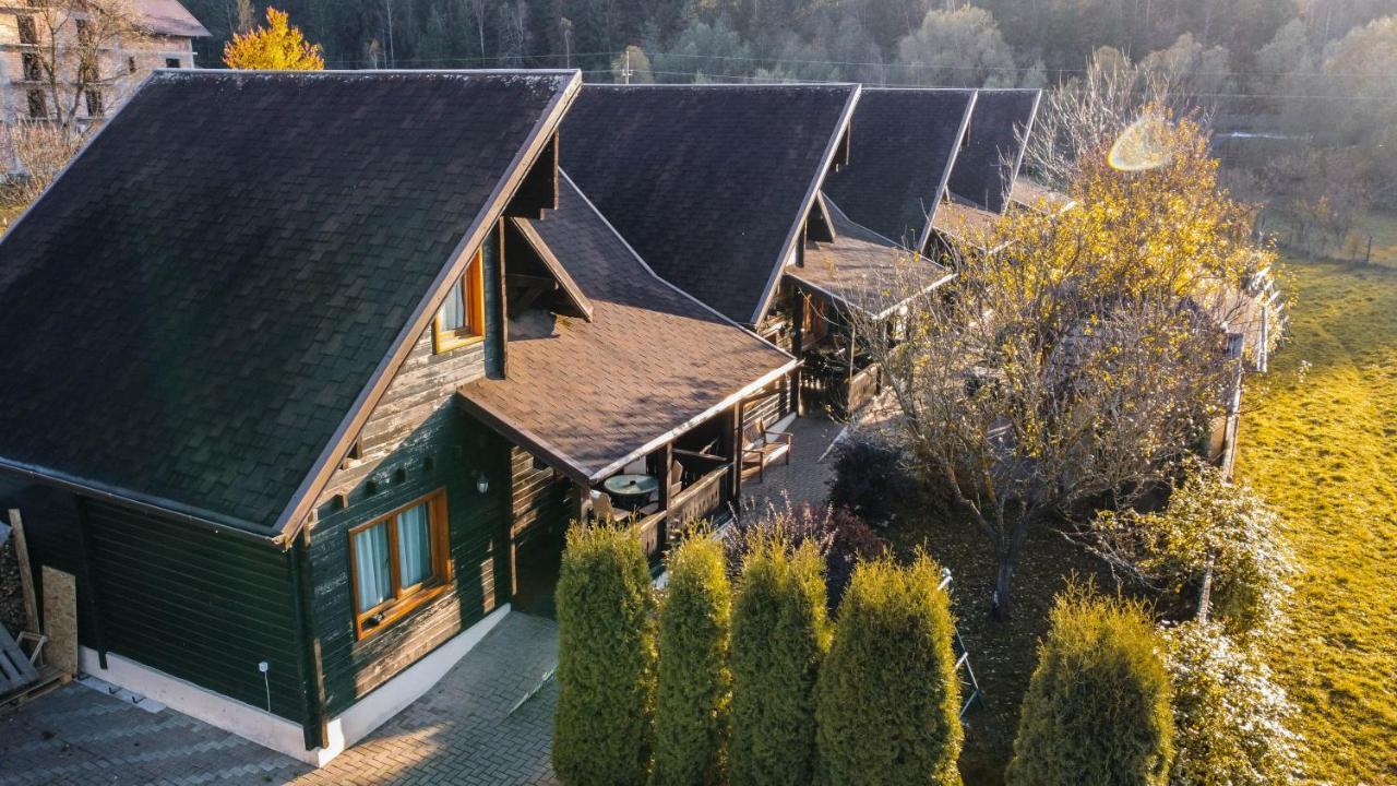 Pensiunea Galileo Borşa Exterior foto