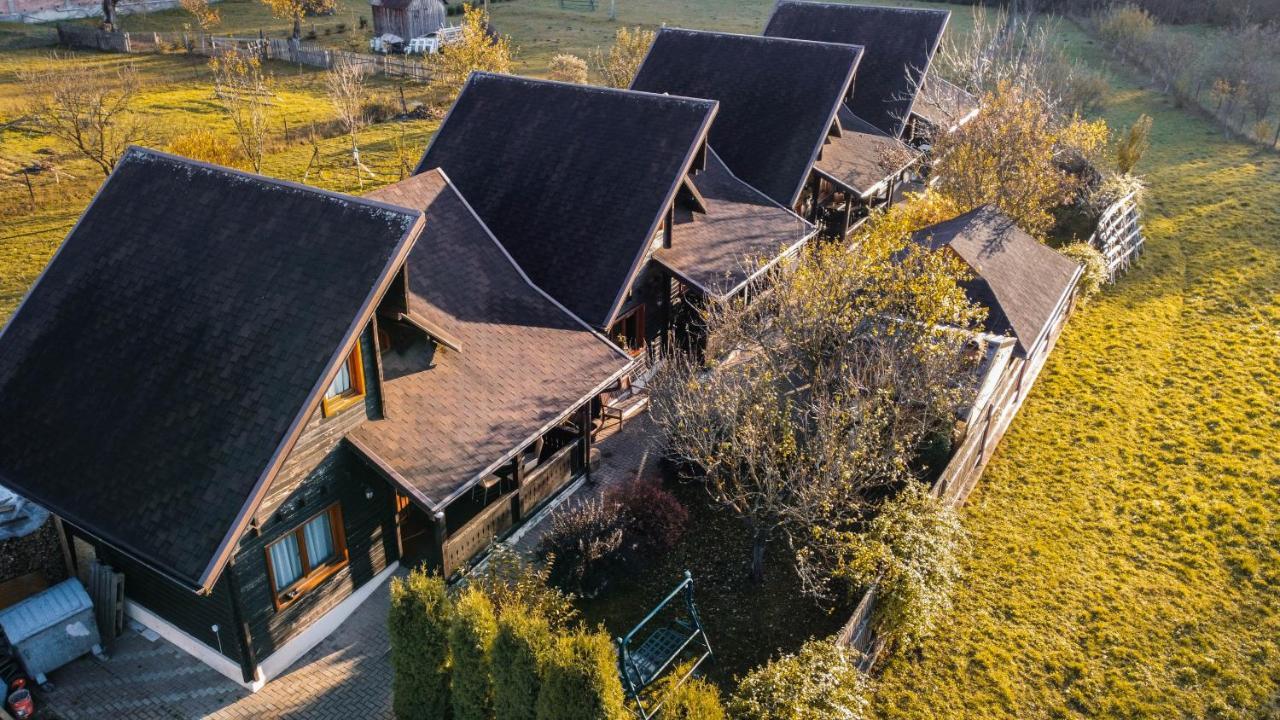 Pensiunea Galileo Borşa Exterior foto