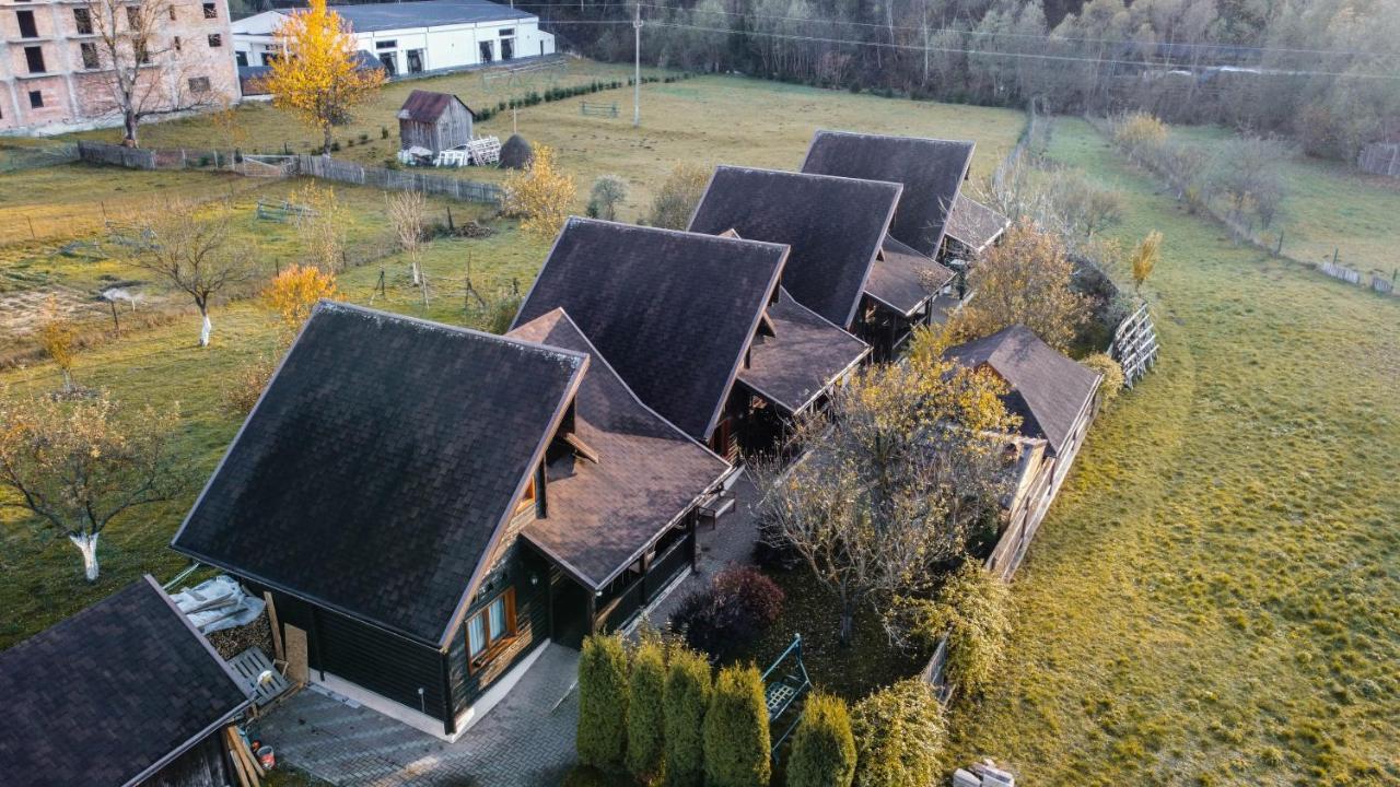 Pensiunea Galileo Borşa Exterior foto