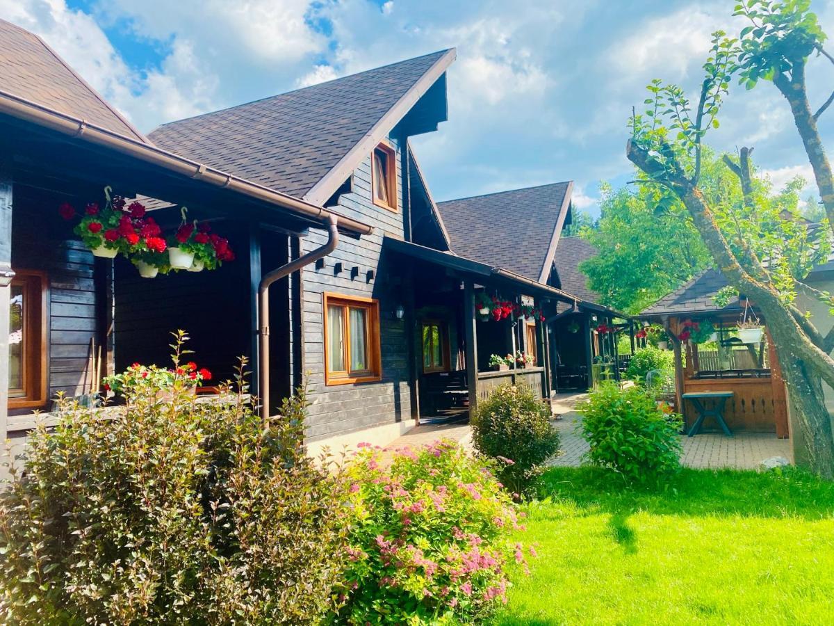 Pensiunea Galileo Borşa Exterior foto