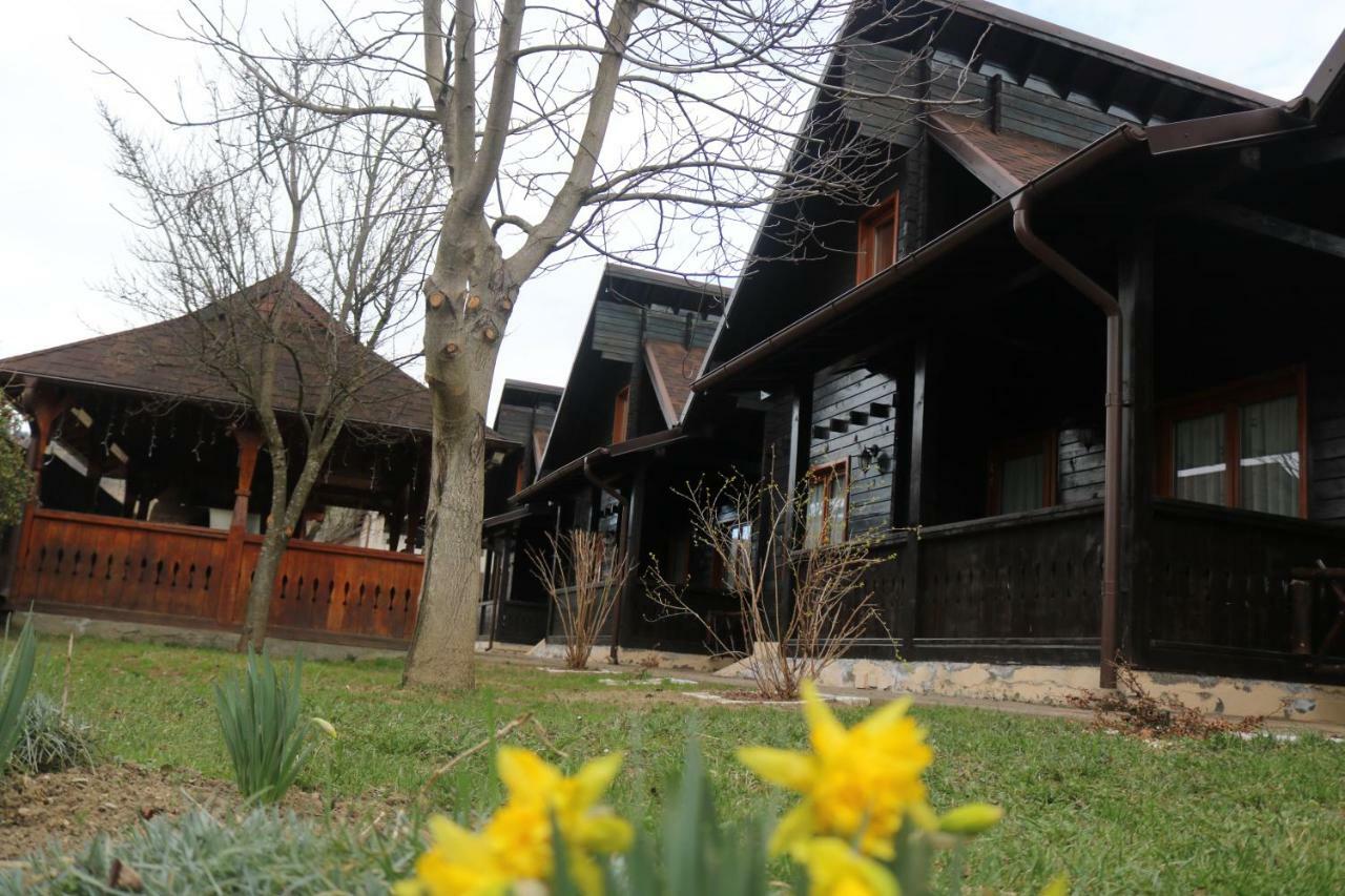 Pensiunea Galileo Borşa Exterior foto