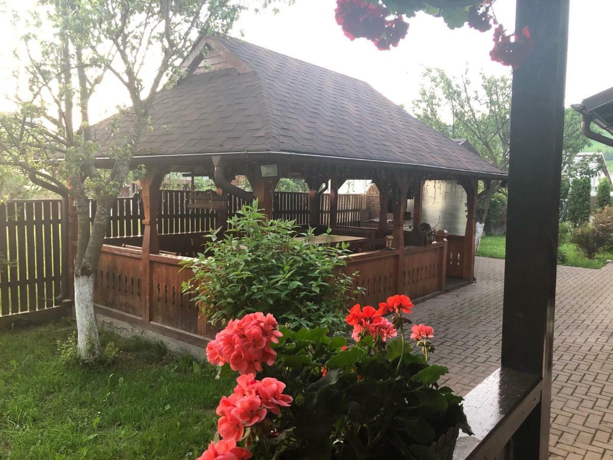 Pensiunea Galileo Borşa Exterior foto